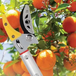Sécateur Télescopique Recalma - Ciseaux à Rosiers - Sécateur Et Scie à Branches - Lame De Scie - Ciseaux à Fleurs - Ébrancheur - Scie - Télescopique 130 à 220 Cm -Meubles Soldes Boutique 1200x1200 51
